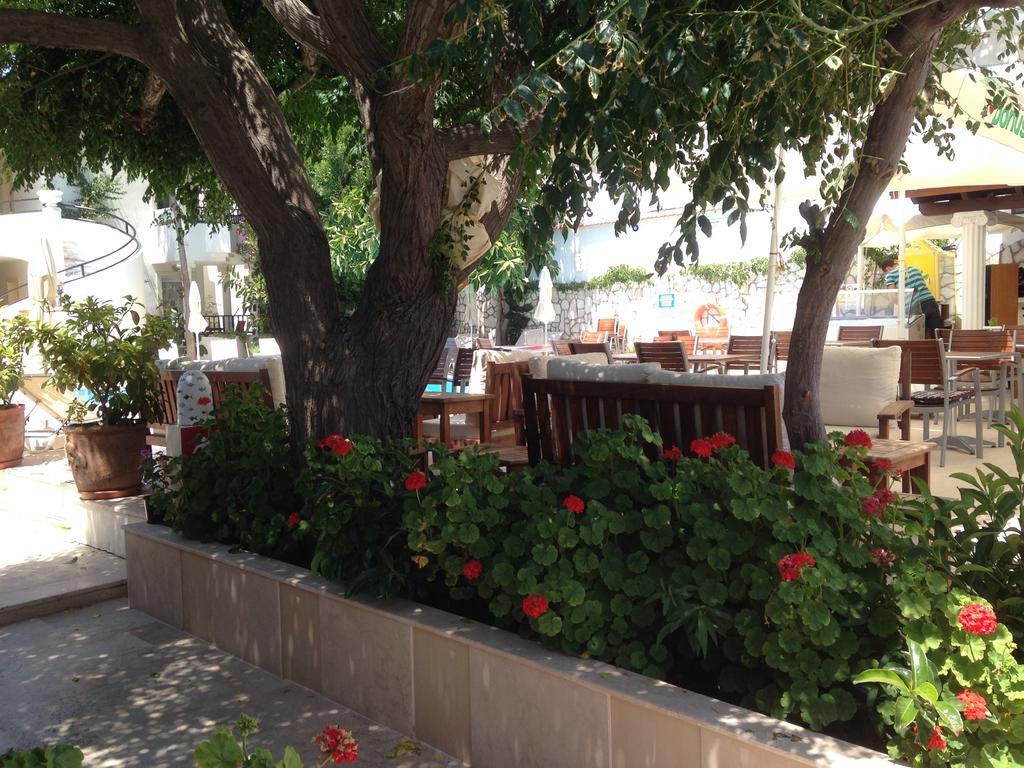אורטקנט Acelya Hotel מראה חיצוני תמונה
