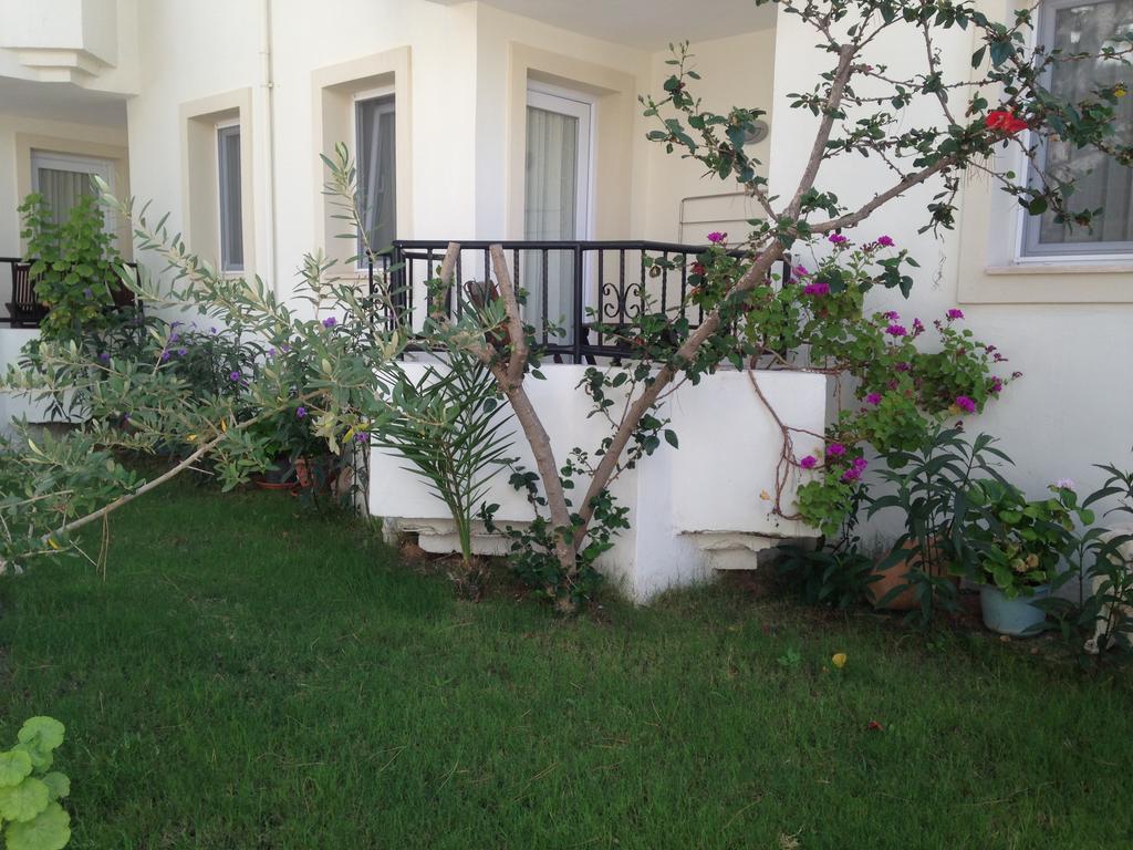 אורטקנט Acelya Hotel מראה חיצוני תמונה